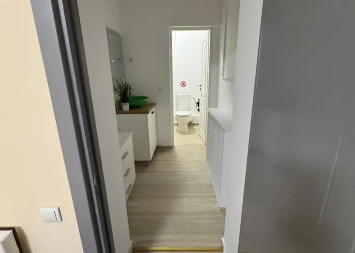 ホームステイ Udroiu 2 *